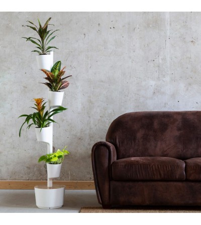 Self-watering vertical planter with Yellow Joy plants