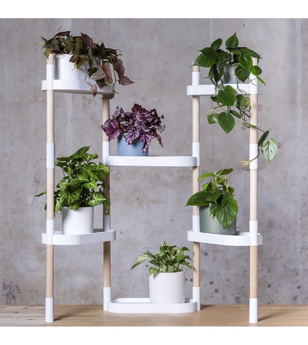 HOMASIS Étagère pour plantes d'intérieur, étagère verticale et polyvalente avec grille et 10 crochets en forme de S, jardinière industrielle, porte plantes d'intérieur pour décorations, livres, 100 x