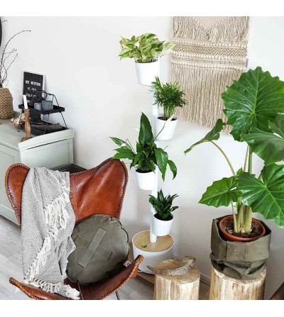 Vertical planter