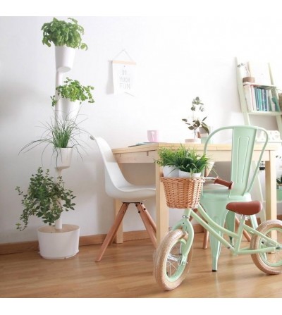 jardin vertical