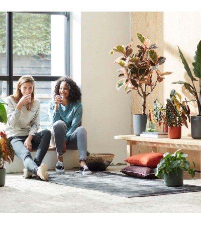 Indoor plant pots