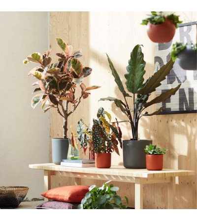 Fioriere decorative per interni