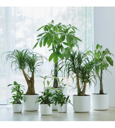 Blumentopf recycelt