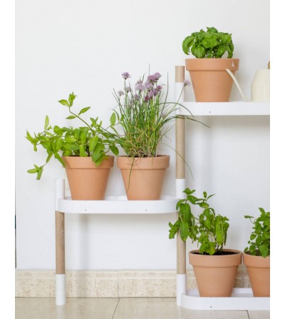 etagere pour plantes interieures