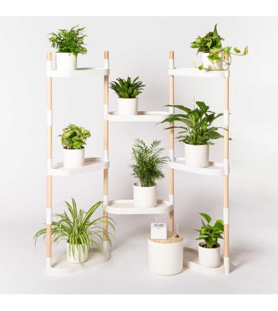 Shelving with air purifying plants