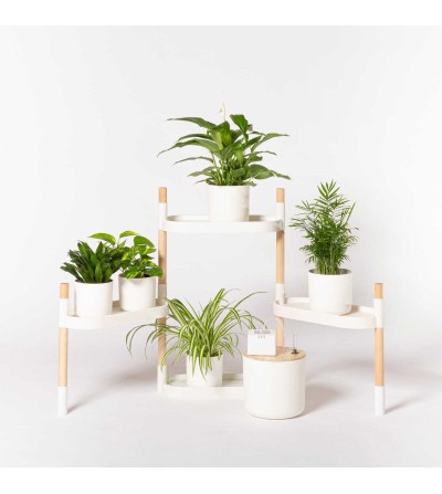 Blumenregal automatischer Bewässerung