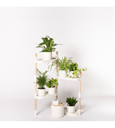 Blumenregal automatischer Bewässerung