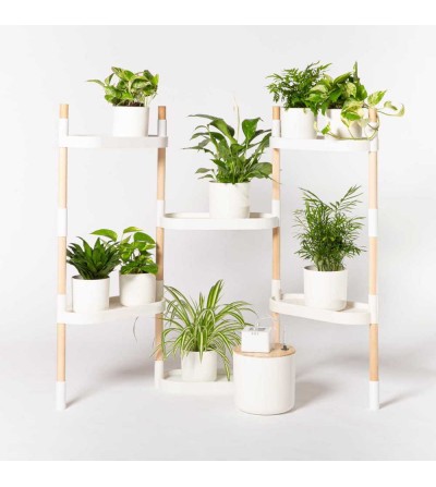 Étagère pour plantes et arrosage automatique