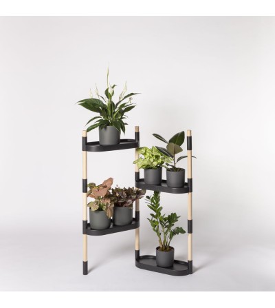 plant shelves