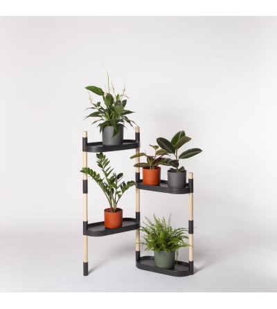 plant shelves