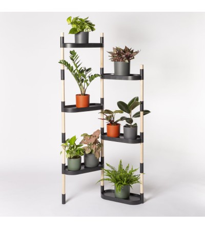 plant shelves indoor