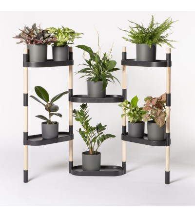 plant shelves indoor