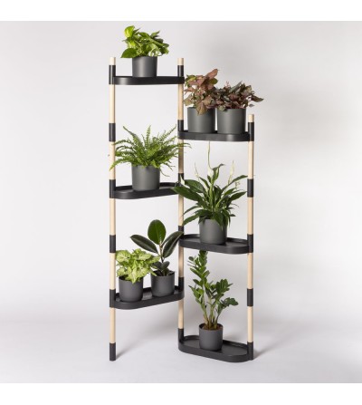 plant shelves indoor