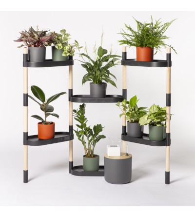 Self-watering plant shelves