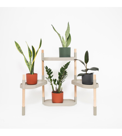 plant shelves