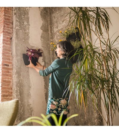 wall planters