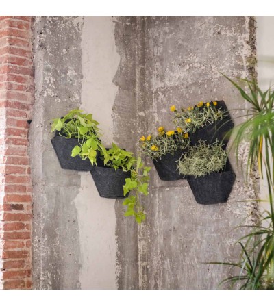 wall planters