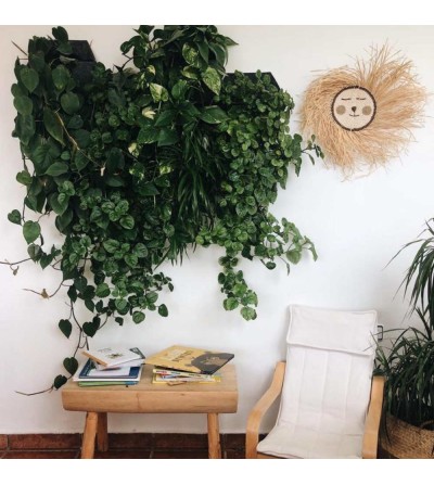 macetas colgantes de pared con plantas