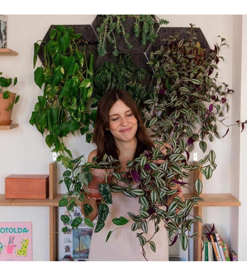 Macetas para exteriores e interiores - contenedores para plantas, macetas  en color blanco, tipo panal