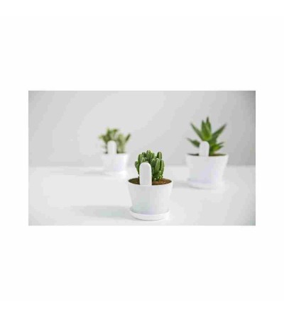 Smart home plant sensor