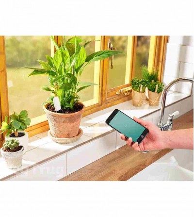 Bluetooth plant sensor