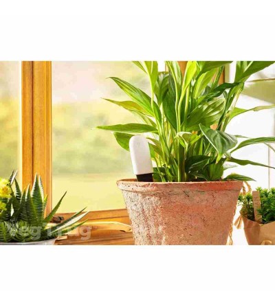 Wireless plant sensor