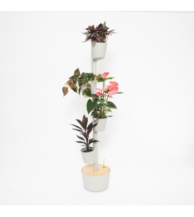 Jardinière verticale avec plantes rose passion