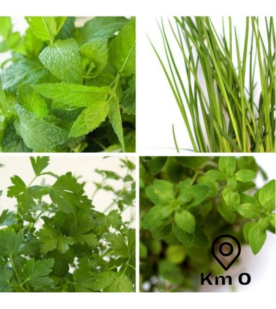 buy herbs online