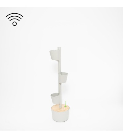 Macetero vertical con autorriego WiFi