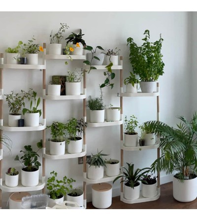 soporte para plantas