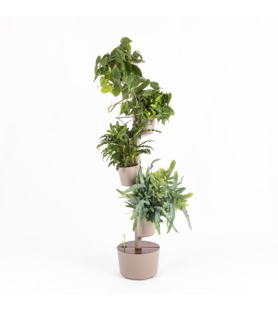 Limited edition: pine bark vertical planter with leafy plants