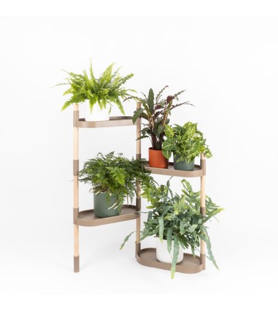soporte para plantas de madera