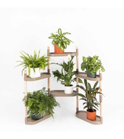 Étagère avec 6 plateaux