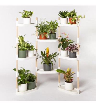 Étagère pour plantes