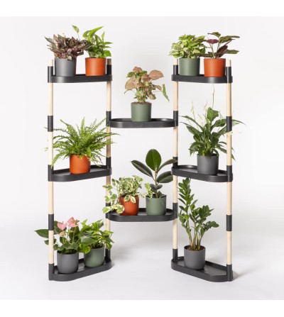 Étagère pour plantes