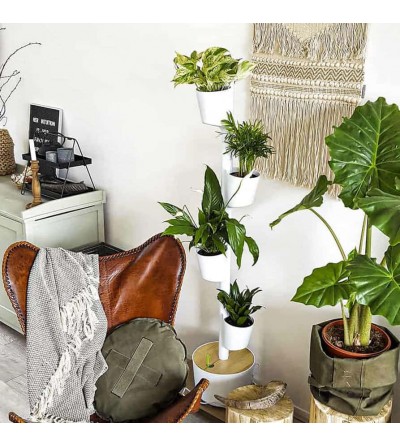 Jardinière verticale blanc avec plantes purificatrices d'air