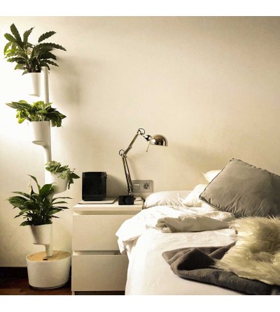 Soporte vertical con plantas Azul Plácido