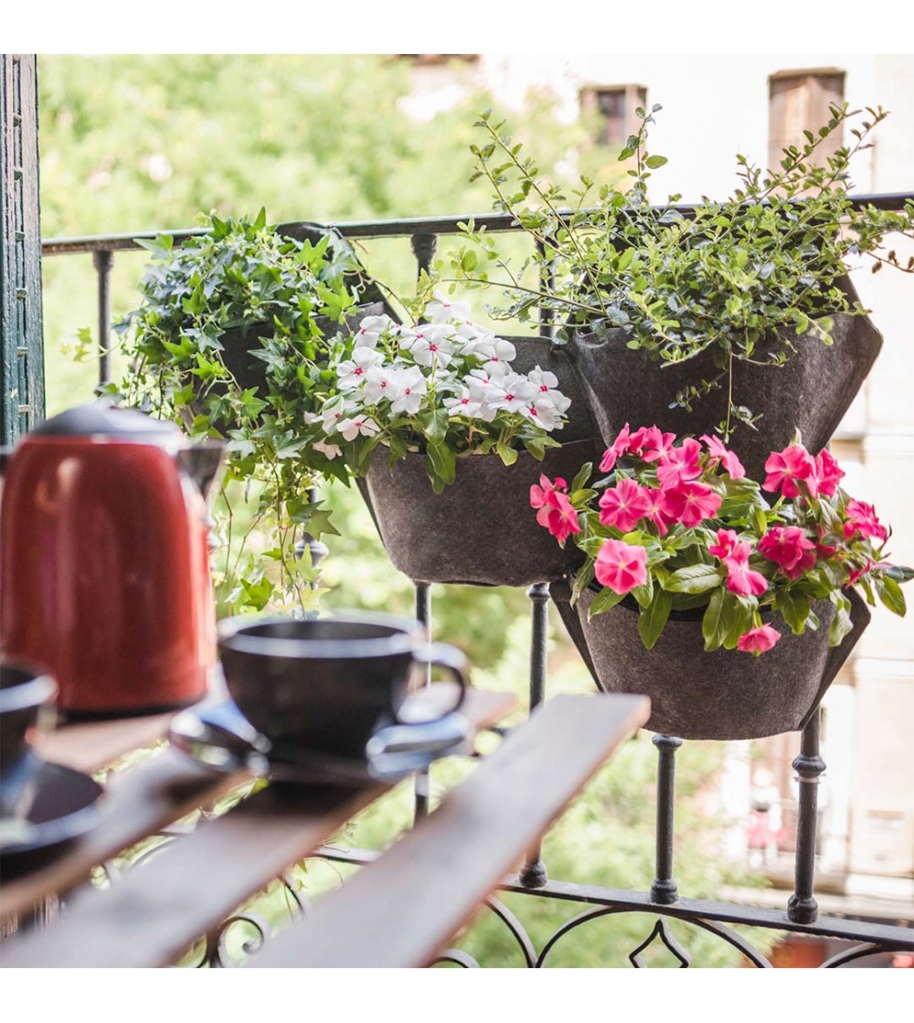 Macetas de pared con plantas de temporada