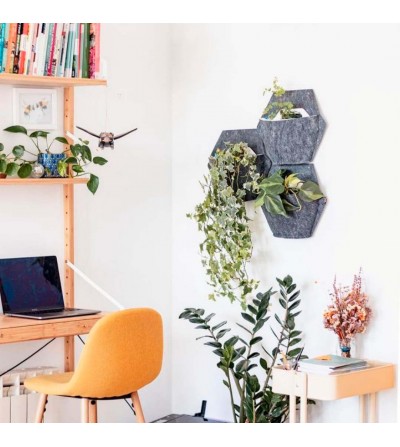 Wall Planter with Hanging Plants