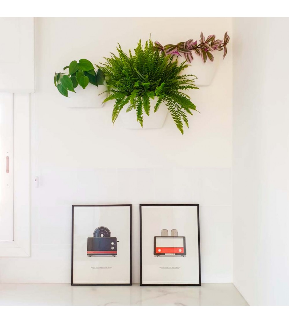 View of Self-watering wall planter | CitySens