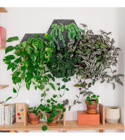 small indoor vertical garden