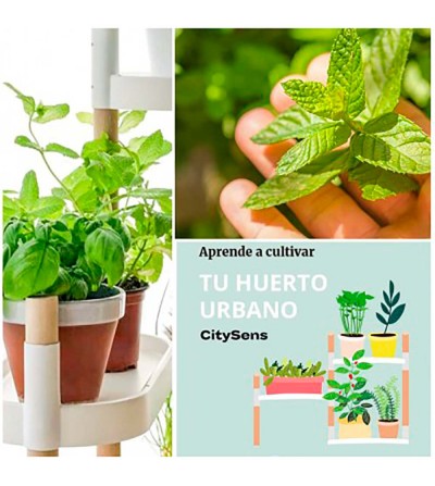 Estantería con plantas aromáticas y manual de cultivo