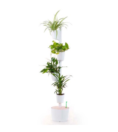 Jardí vertical amb plantes purificadores