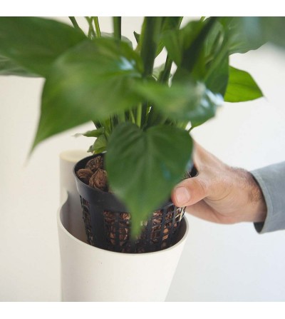 White vertical planter