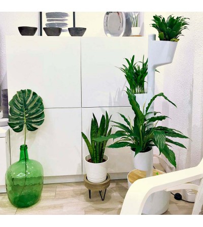 White vertical planter with 3 pots