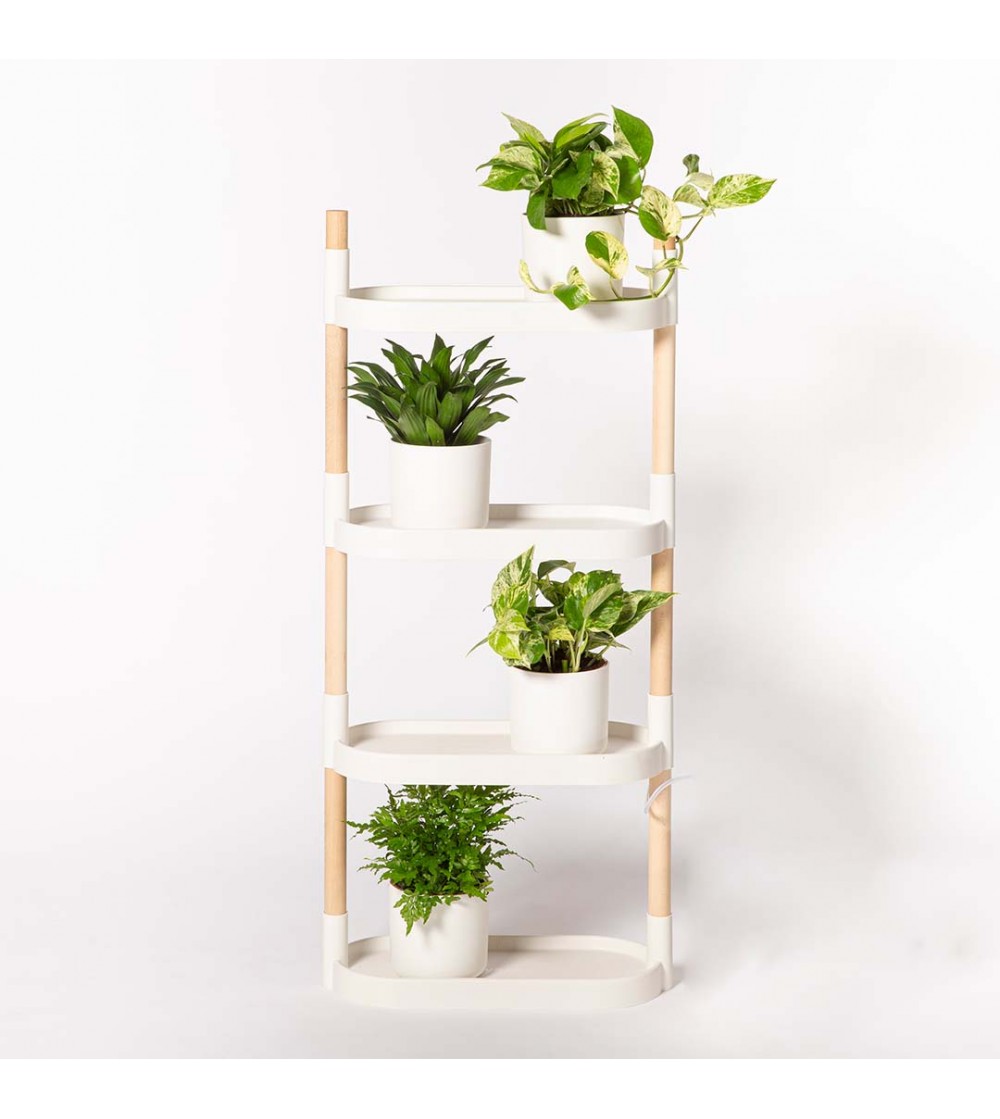 Etagère pour plantes Tanaïs