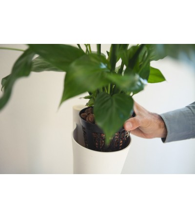 Mesh plant pots