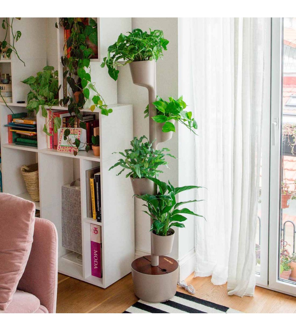 Jardín Vertical Estación De Propagación, Macetero Para Colgar En La Pared,  Terrario Con Jardin Vertical Exterior, image size:1000x1119