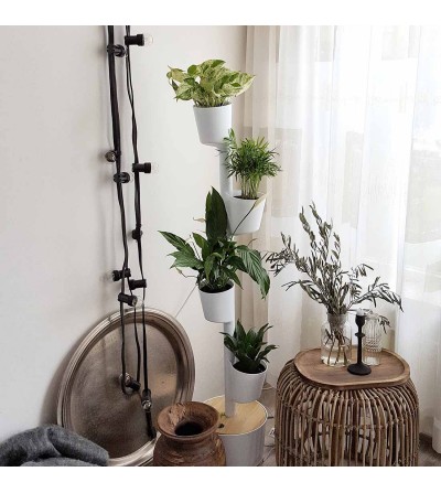 vertikaler Blumentopf mit Zimmerpflanzen