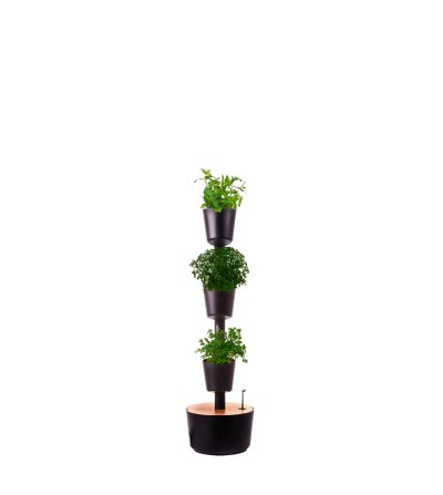 Fioriera verticale con piante aromatiche